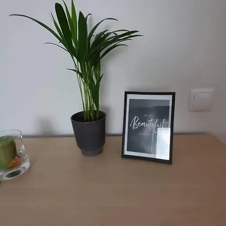 Loginn Apartma *